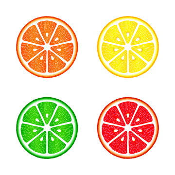 Collection of citrus slices - orange, lemon, lime and grapefruit. Isolated on white background, vector illustration.