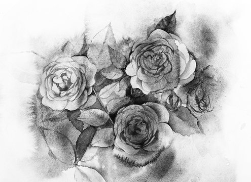 Fototapeta Black and white Watercolor roses. A bouquet of flowers painting.