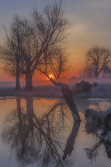 Fototapeta na wymiar misty morning on the riverbank