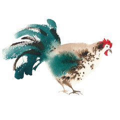 rooster green brown look watercolor © Egle