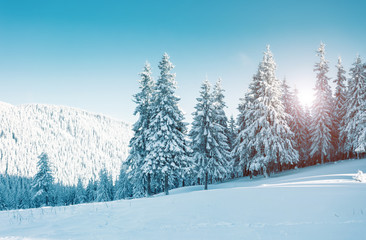 Naklejka premium Dramatic wintry scene