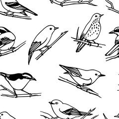 Birds seamless pattern
