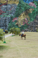Kuba,Vinales; Das Felsgemälde " Mural de la Prehistoria " im  Vinales Tal.