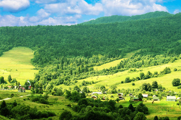 Mountain landscape close-up, Carpathian, Ukraine, Europe..