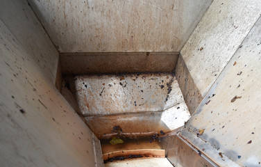 How grapes become wine: detail of a machinery used in the production of wine.