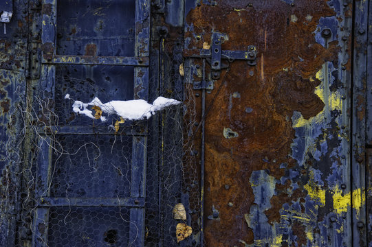 Rust on metal