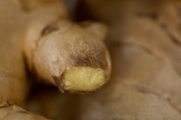 Fototapeta premium Close-up of ginger