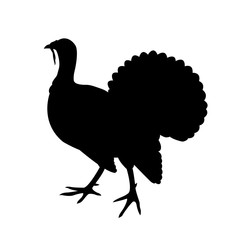 turkey vector illustration  black silhouette