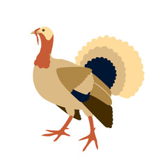 turkey vector illustration style Flat 