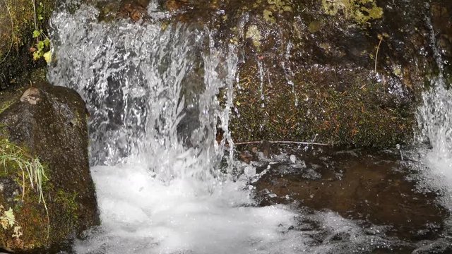 Small Stream with sound