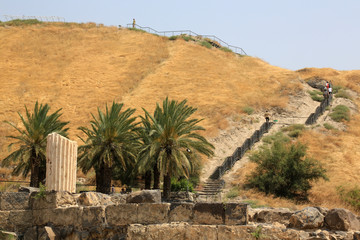 Roman Cardo in Beit She'an National Park. Israël.