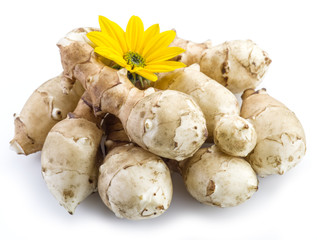 Jerusalem artichoke on a white background.