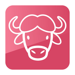 Buffalo bison ox icon. Animal head vector
