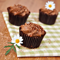Chocolate cupcakes