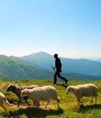 Herdsman in the mountains © joyt