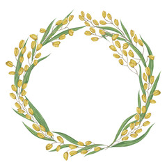 Wreath with rice. Collection grains, leaves and ears of rice on a white background. Isolated elements. Vintage hand drawn vector illustration in watercolor style.