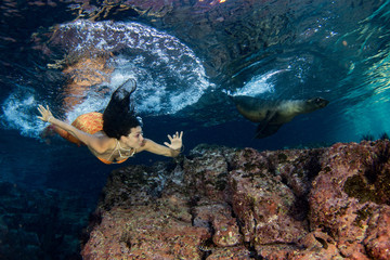 Mermaid swimming underwater in the deep blue sea with a seal