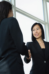Businesswomen shaking hands, low angle view
