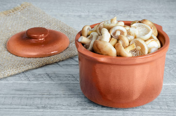 Raw wild mushrooms in a ceramic pot