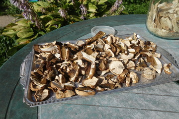 Dried and sliced edible mushrooms