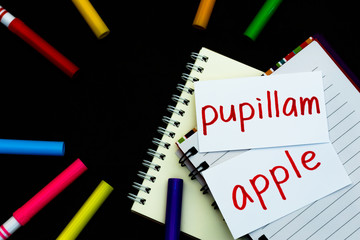 Latin and English; Learning New Language with Handwritten Flash