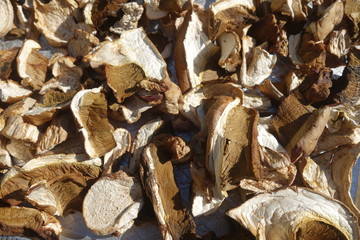 Dried and sliced edible mushrooms