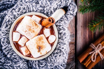 hot chocolate with marshmallows and cinnamon in mug