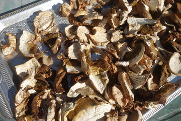 Dried and sliced edible mushrooms