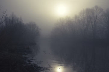Fototapeta premium Misty morning.Springtime.