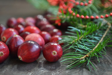 Cranberry and pine tree branch. Christmas background.