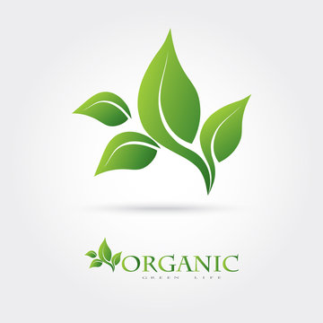 Green vector icon from green leaves. It can be used for eco, health care, or the nature of logo design concepts.