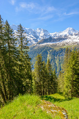 View of beautiful landscape in the Alps with fresh green meadows and snow-capped mountain tops in the background on a sunny day with blue sky and clouds in springtime.