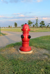 Dog park, red fire hydrant