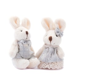 couple of easter bunny rabbit on white background.