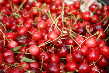 Red Cherries. Cherry selection