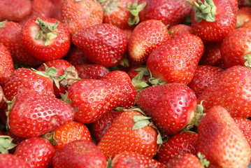 Red berry. Berry selection