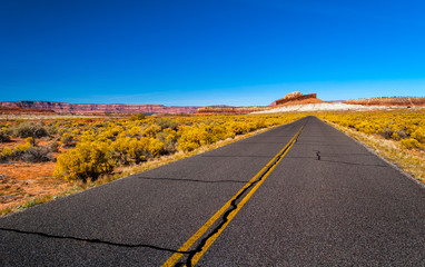 Riding on an open road winding through Southwest America
