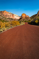Road through Zion National Park