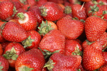 Red berry. Berry selection