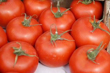 red tomatoes background. Group of tomatoes