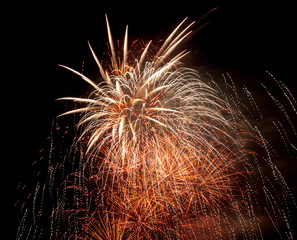 Colorful fireworks in the night sky