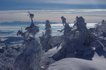 Zimowy pejzaż ze stoków Babiej Góry