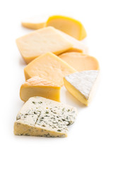 Different kinds of cheeses.