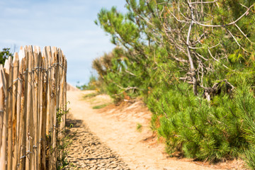 Wooden fence on Atlantic beach in France