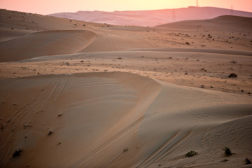Fototapeta na wymiar Desert dunes in Liwa, United Arab Emirates