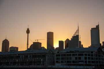 Fototapeta na wymiar Sydney Tower from Cowper Warf Road