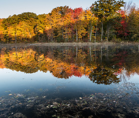 Fall Reflection