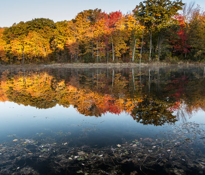 Fall Reflection © Barry