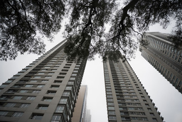 Downtown skyscrapers under the fog upward view at the Puerto Madero.