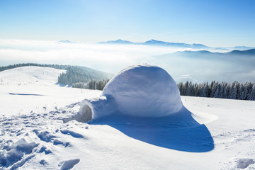 Marvelous huge white snowy hut.